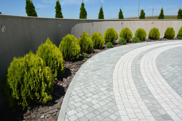 Best Custom Driveway Pavers  in Amherst, WI